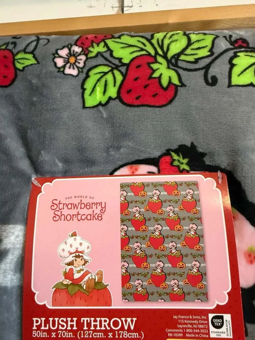 Strawberry Shortcake Halloween Plush Throw Blanket 50in x 70in